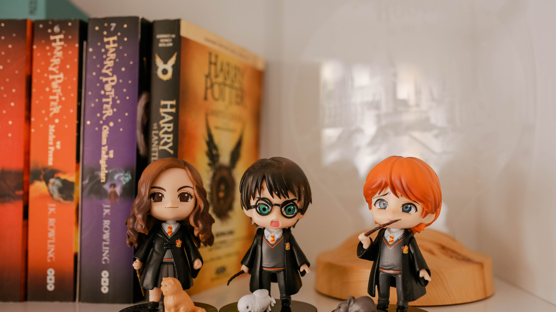 display collectibles or hobbies